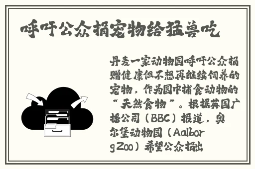 939W乳液78W78W韩国